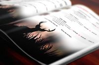 Promotional Branding portfolio image 8: Promotional Items and Branding